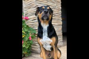 Miniatura publicación